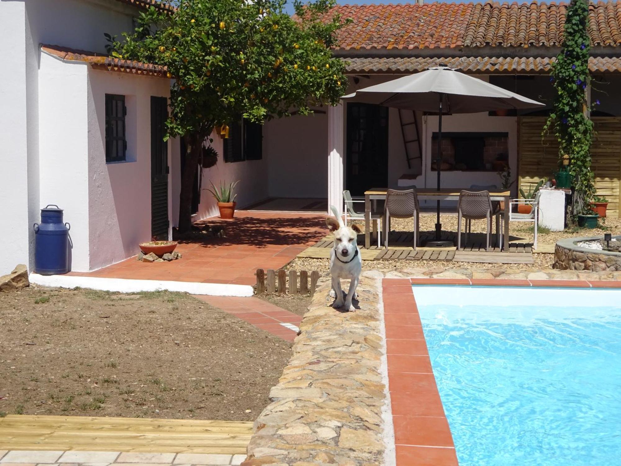 New Village Vila Nova da Baronia Esterno foto